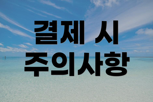 결제 시 주의사항