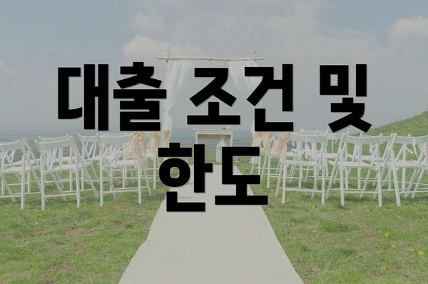 대출 조건 및 한도