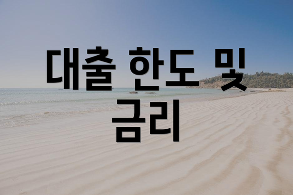 대출 한도 및 금리