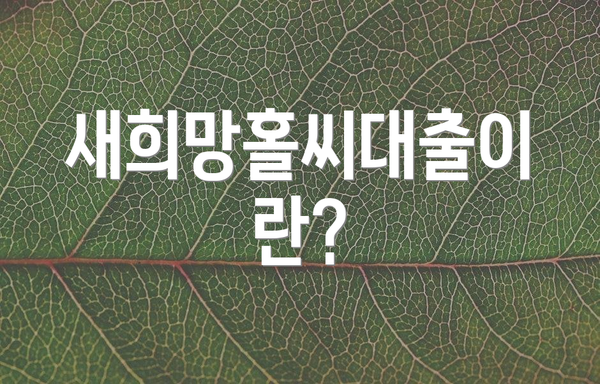 새희망홀씨대출이란?