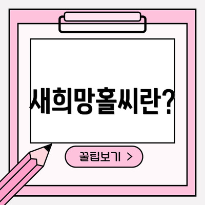 새희망홀씨란?