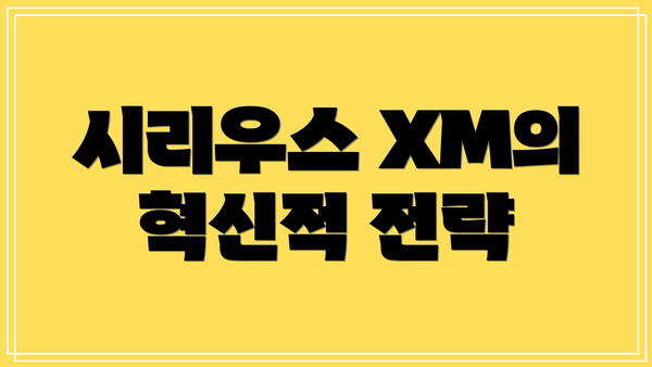 시리우스 XM의 혁신적 전략