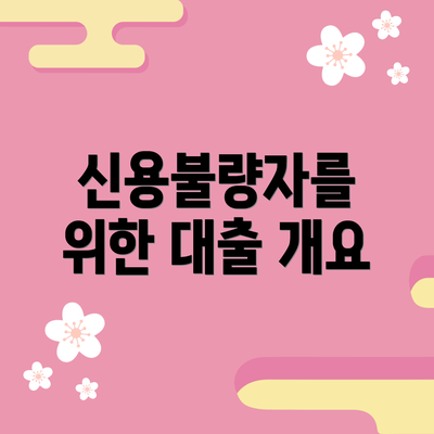 신용불량자를 위한 대출 개요