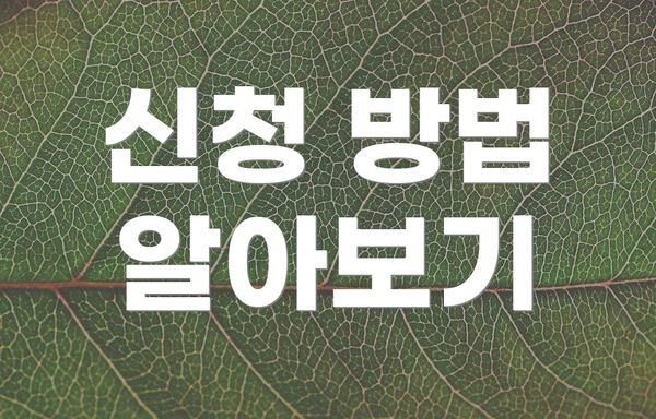 신청 방법 알아보기