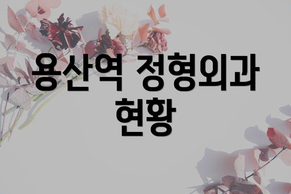 용산역 정형외과 현황
