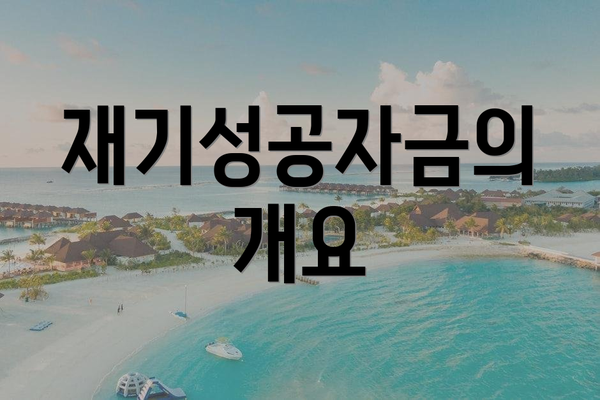 재기성공자금의 개요