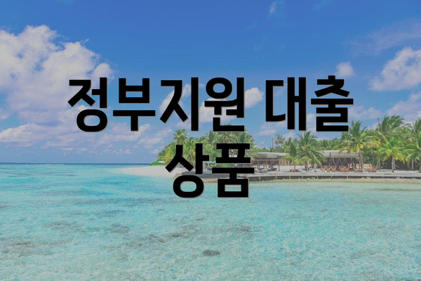 정부지원 대출 상품