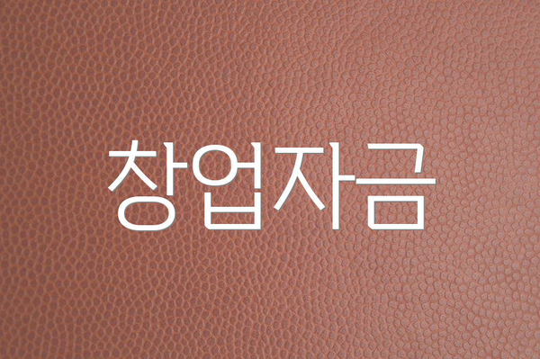창업자금