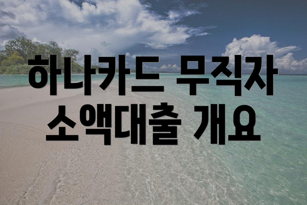하나카드 무직자 소액대출 개요