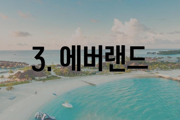 3. 에버랜드