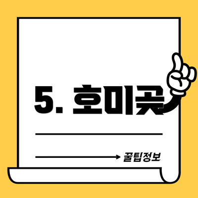 5. 호미곶