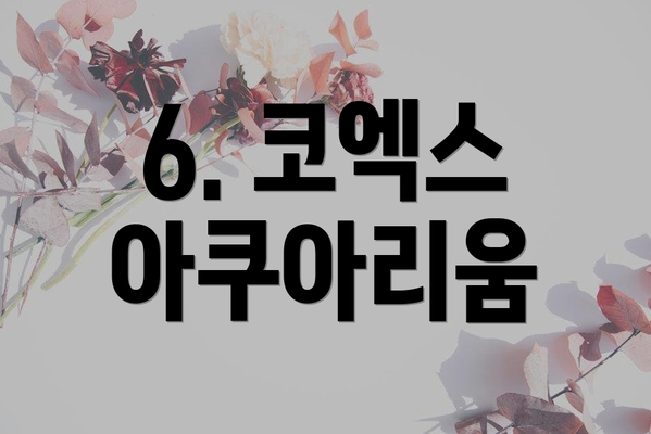 6. 코엑스 아쿠아리움