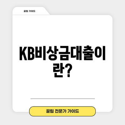 KB비상금대출이란?