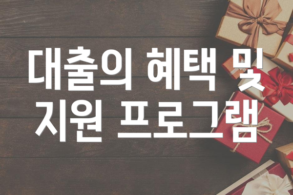 대출의 혜택 및 지원 프로그램