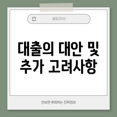 대출의 대안 및 추가 고려사항