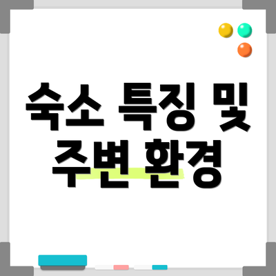 숙소 특징 및 주변 환경