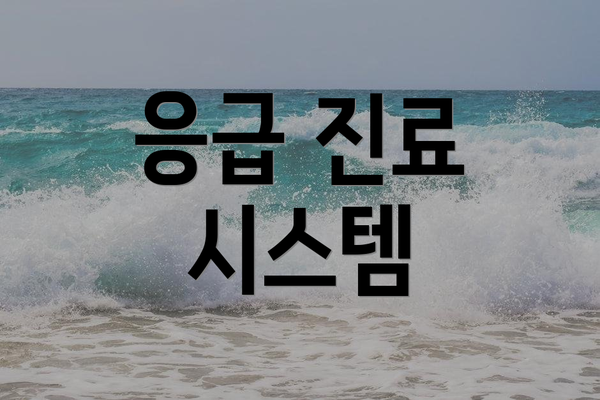 응급 진료 시스템