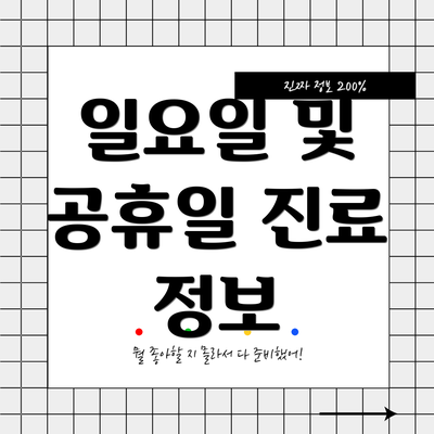 일요일 및 공휴일 진료 정보