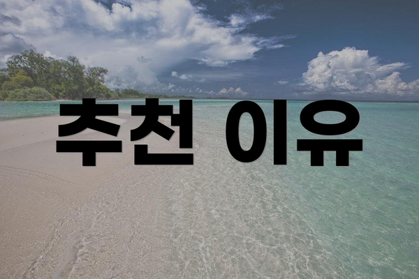 추천 이유