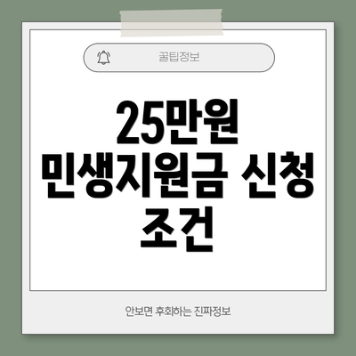 25만원 민생지원금 신청 조건