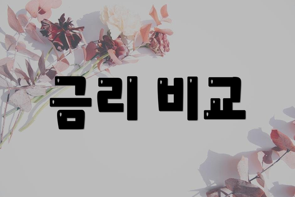 금리 비교