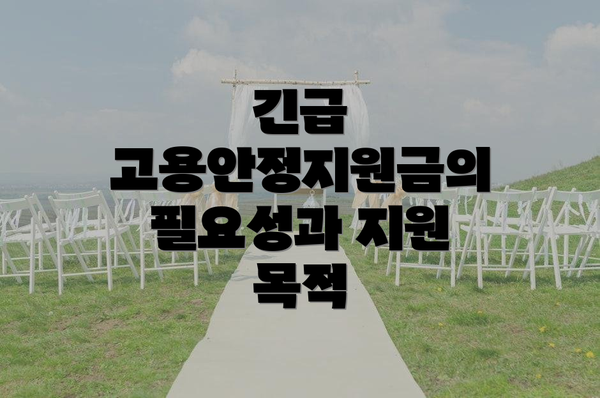 긴급 고용안정지원금의 필요성과 지원 목적