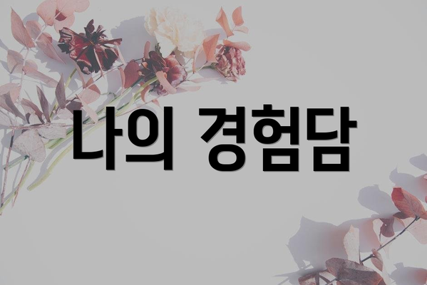 나의 경험담