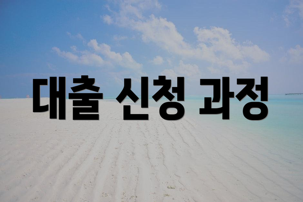 대출 신청 과정