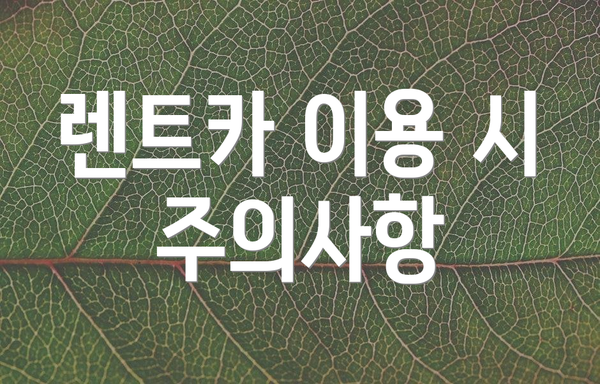 렌트카 이용 시 주의사항