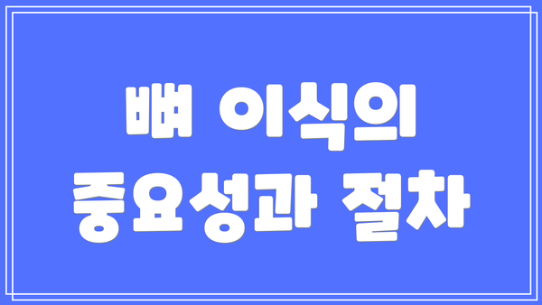 뼈 이식의 중요성과 절차