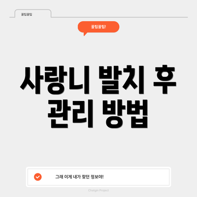 사랑니 발치 후 관리 방법