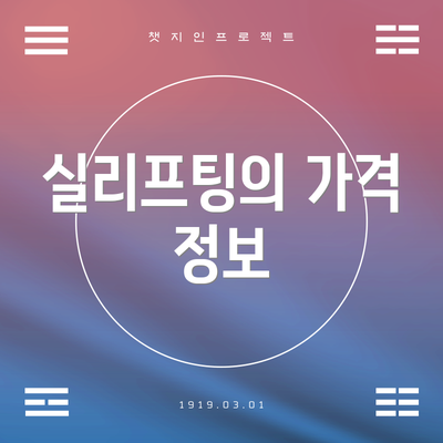 실리프팅의 가격 정보