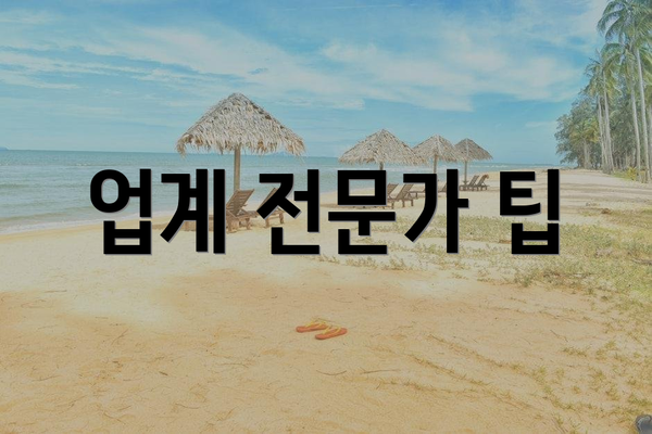 업계 전문가 팁