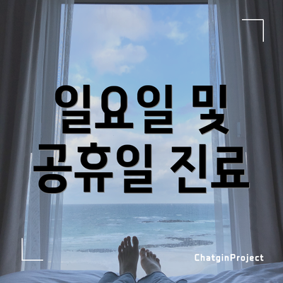 일요일 및 공휴일 진료