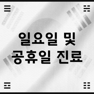 일요일 및 공휴일 진료