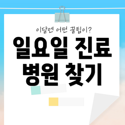 일요일 진료 병원 찾기