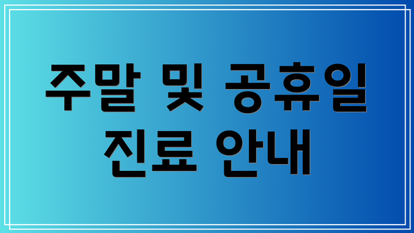 주말 및 공휴일 진료 안내