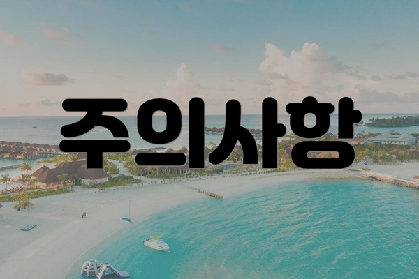 주의사항