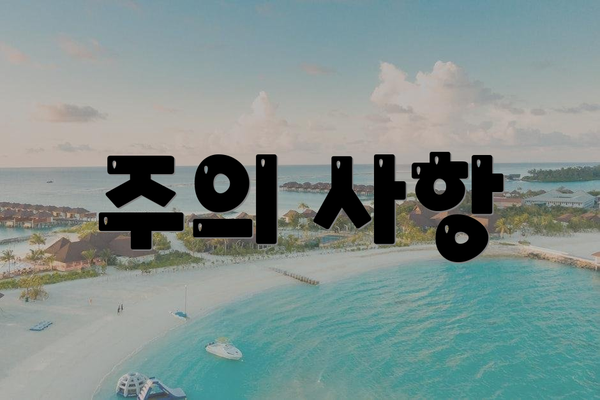주의 사항