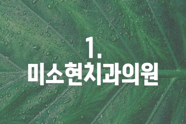 1. 미소현치과의원