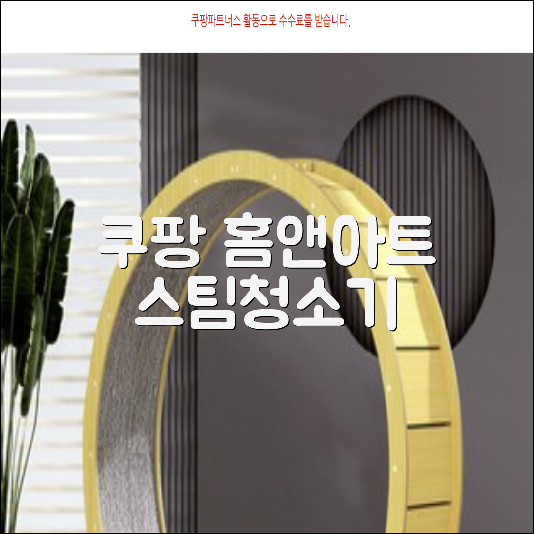 홈앤아트 퓨어 스팀청소기 AMS-200 추천 리뷰
