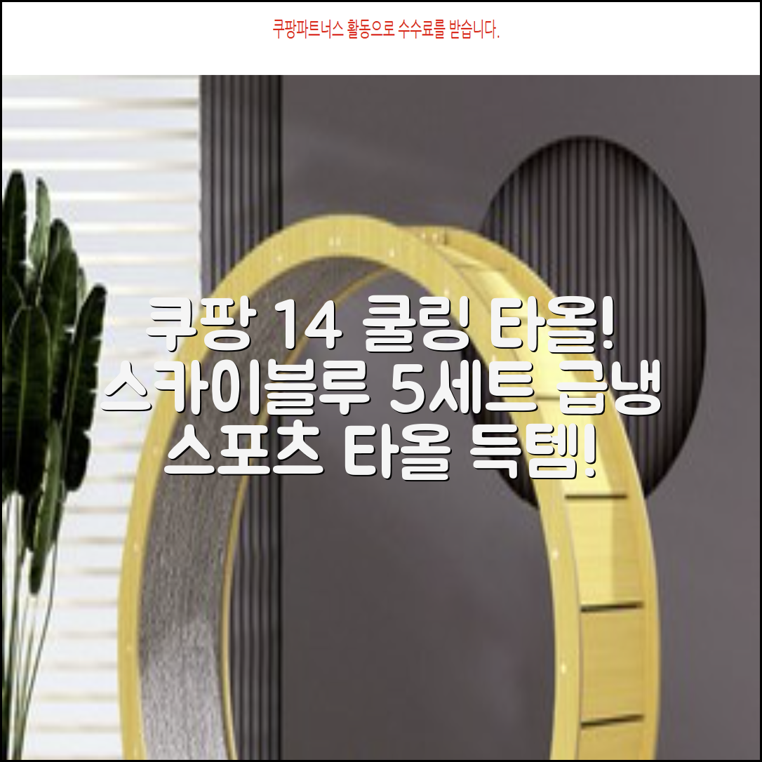 [쿠팡입점 1+4 이벤트] 아이스 쿨링 스포츠타올 건식 급냉 타올, 5세트, 스카이블루 추천 리뷰