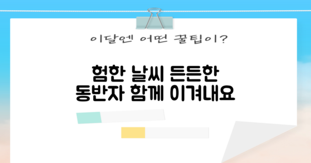 험한 날씨, 든든한 동반자