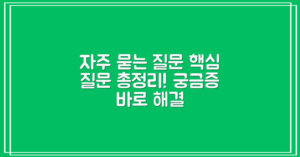 자주 묻는 질문