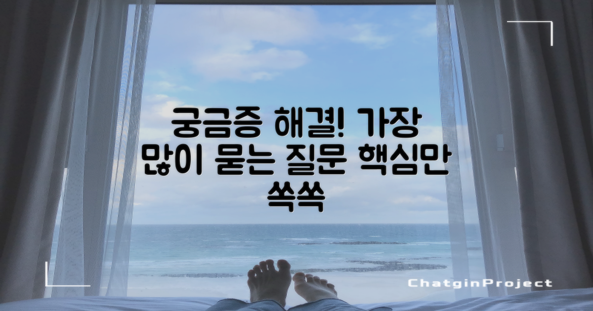 자주 묻는 질문