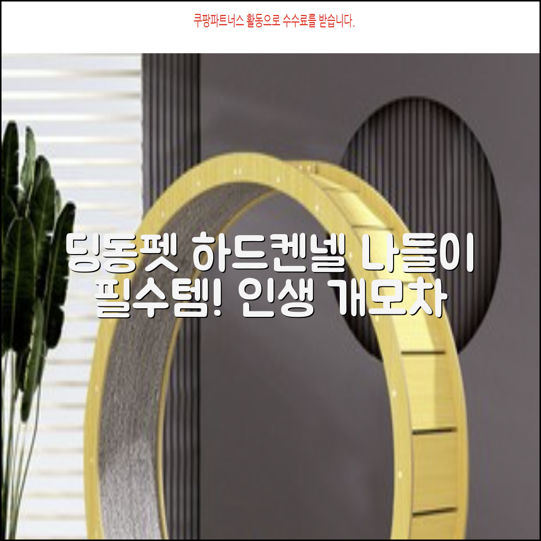 딩동펫 반려동물 나들이 하드켄넬, 그레이, 1개 추천 리뷰