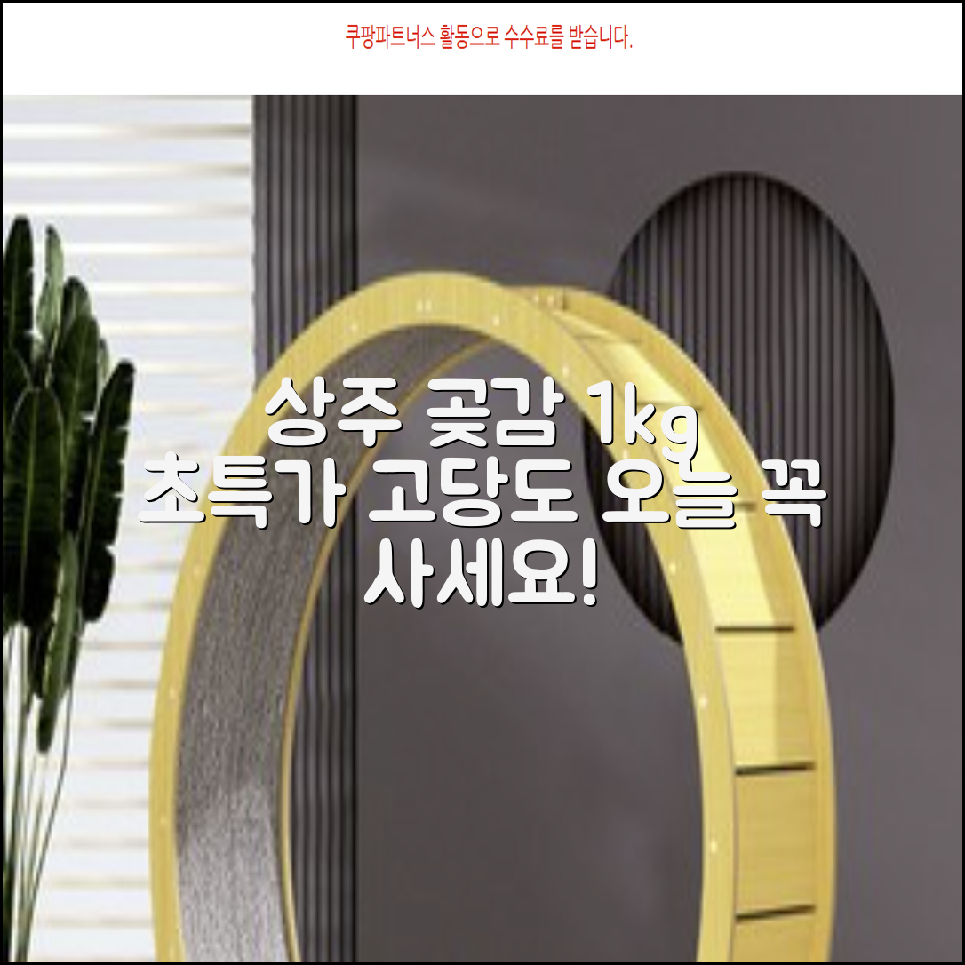 상주 곶감 초특가 1kg 고당도 햇감, 1개 추천 리뷰